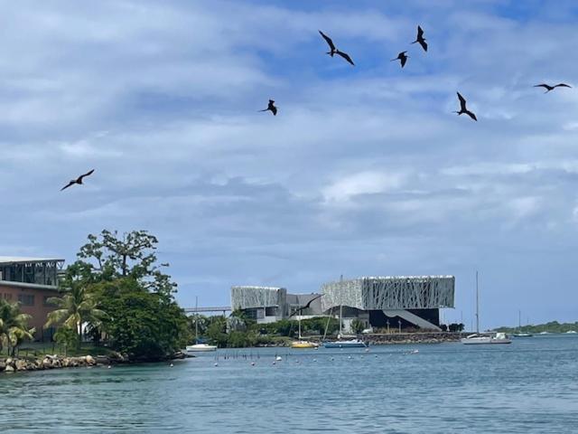 La Canopee Enchantee, Chambres D'Hotes, Piscine, Proche Aeroport, Gare Maritime Les Abymes Luaran gambar